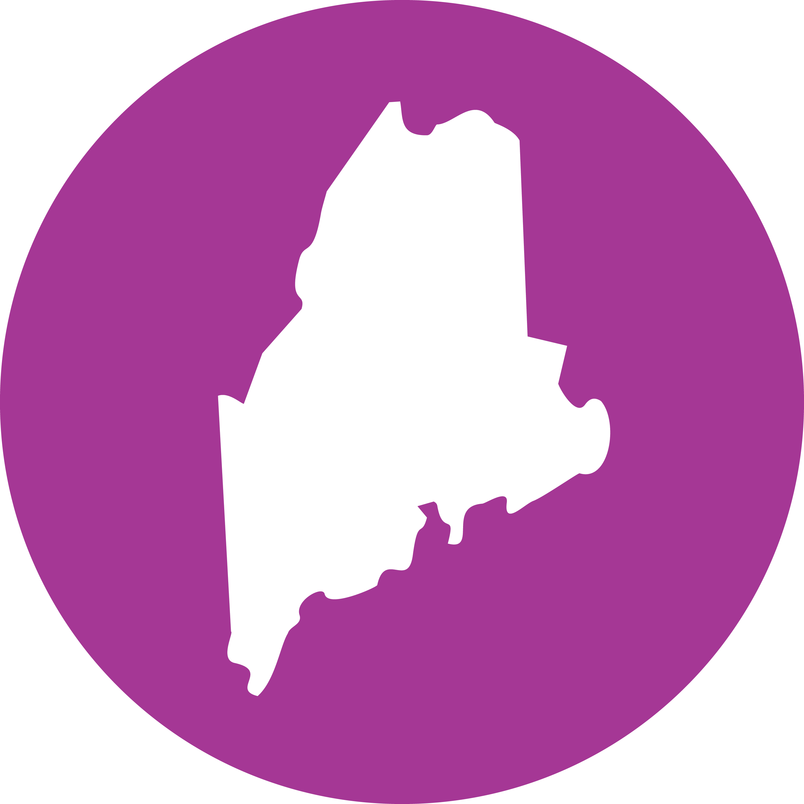 list_image